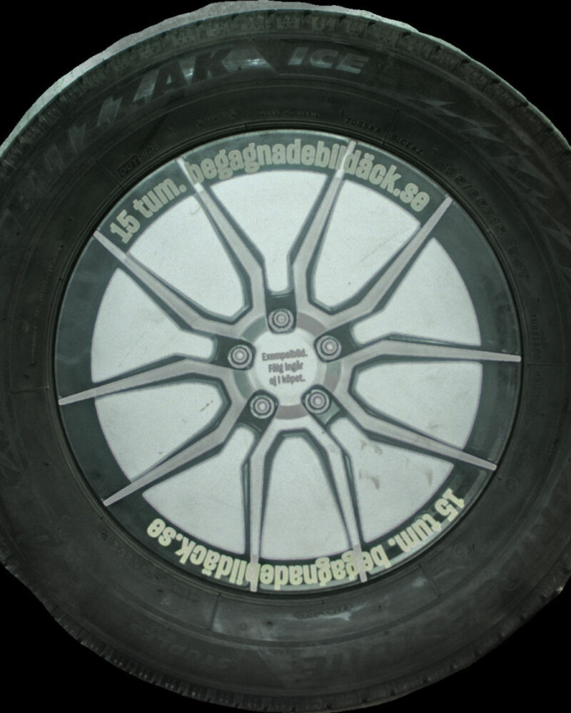 Bridgestone Bliz 195/65R15 ( 2 st )