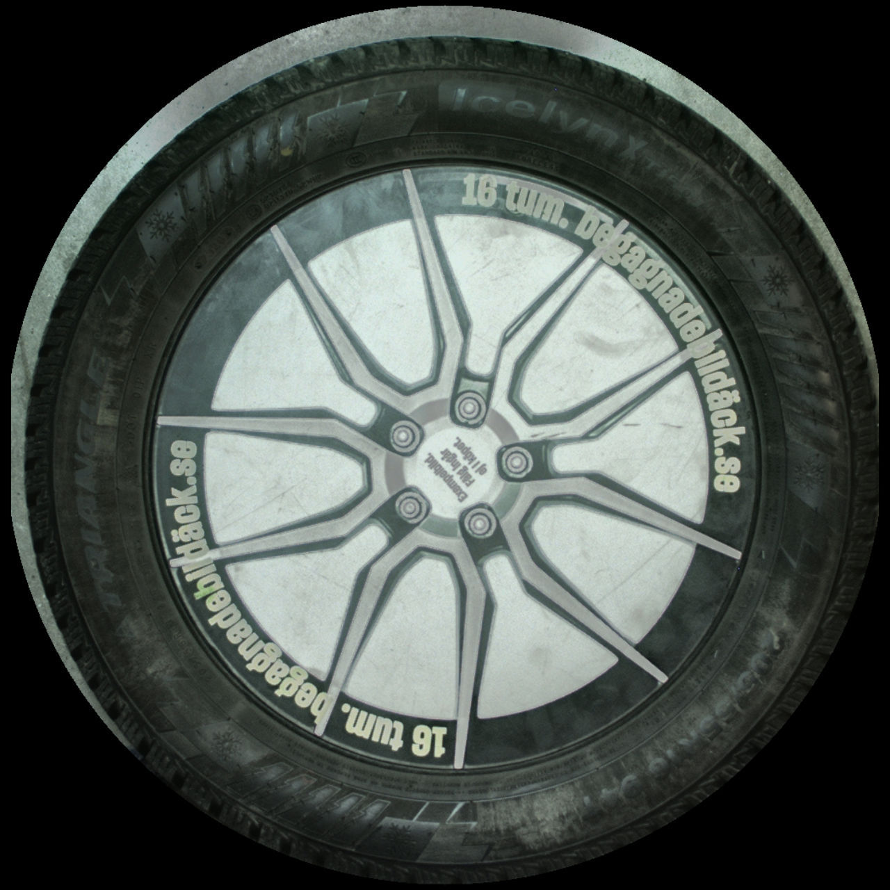 Triangle IceL 205/55R16 ( 1 st )