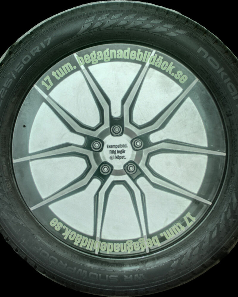 NYBEG Nokian WR S-P 225/50R17 ( 4 st )