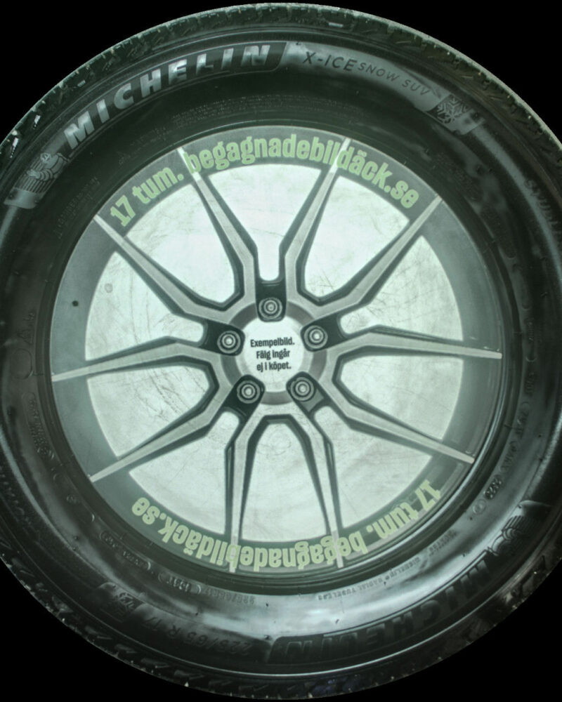 Michelin X-iceSnow 225/65R17 ( 4 st )