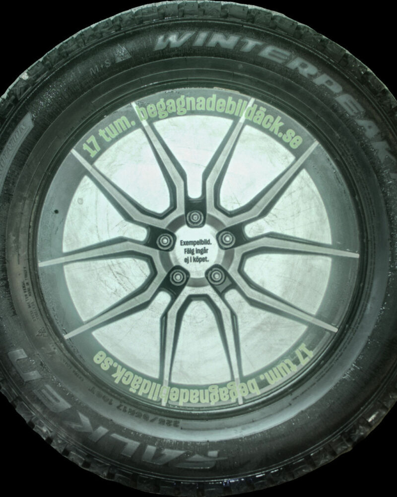 Falken WP F-ice 1 225/65R17 ( 4 st )