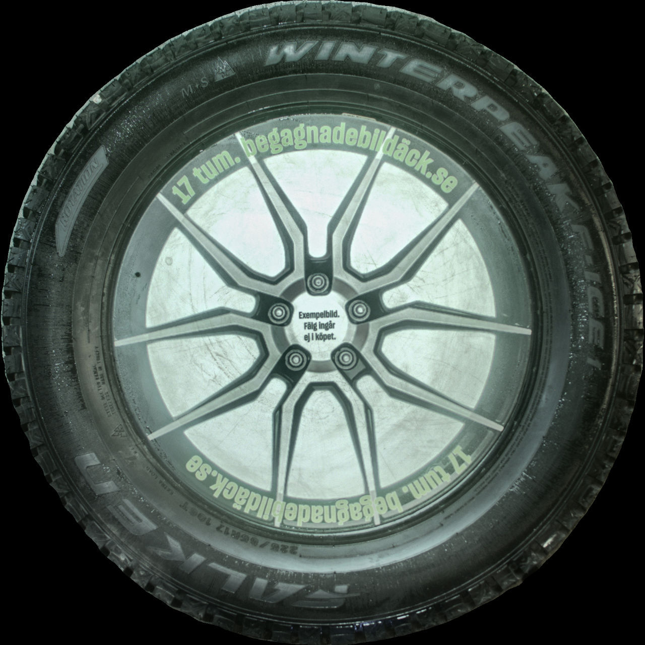 Falken WP F-ice 1 225/65R17 ( 4 st )