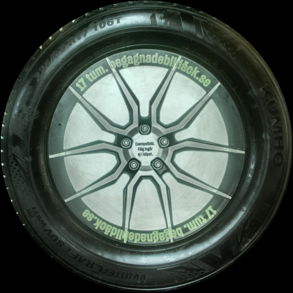 Kumho WS31 225/65R17 ( 2 st )