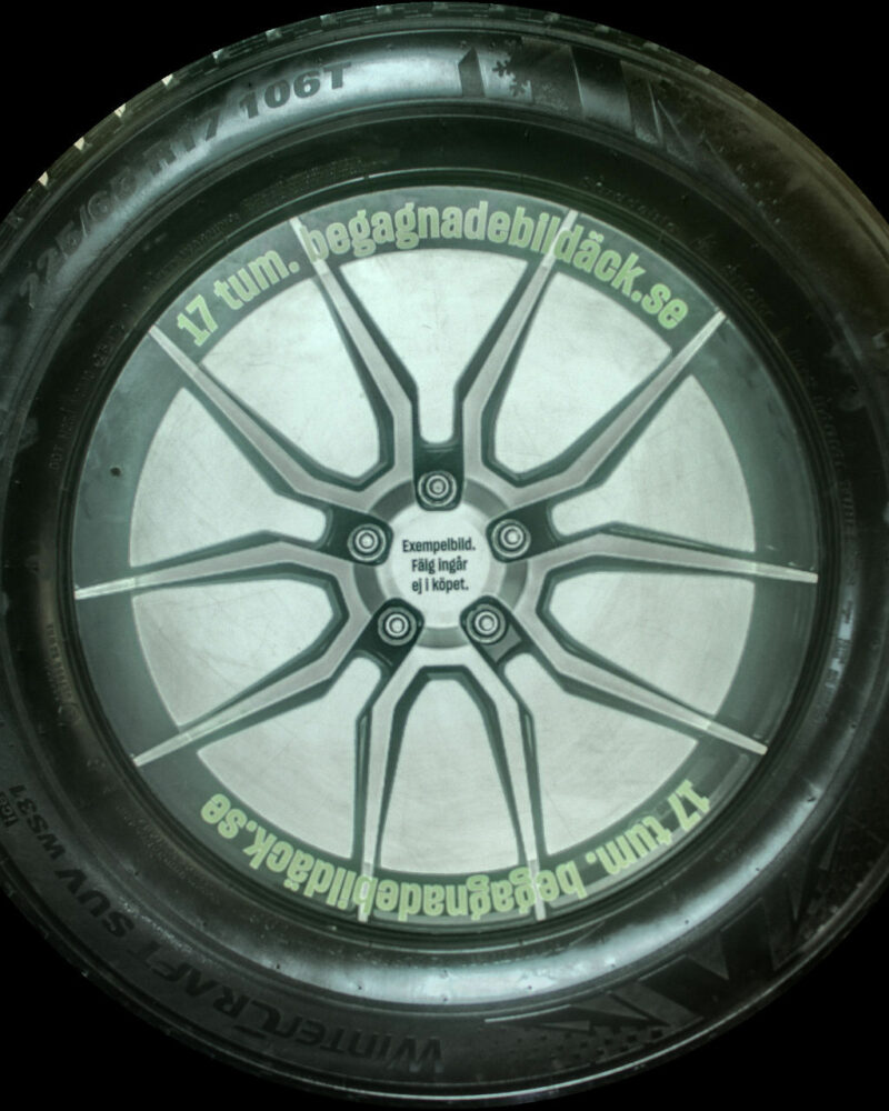 Kumho WS31 225/65R17 ( 2 st )