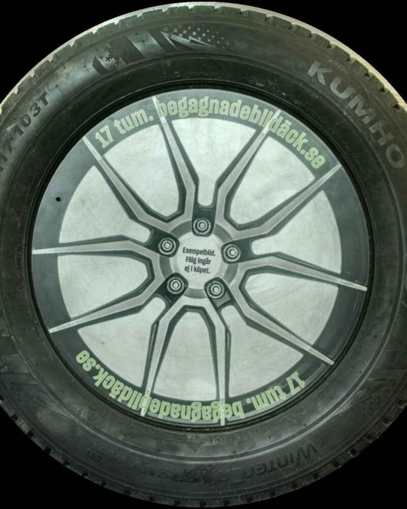 Kumho Ws31 225/60R17 ( 1 st )