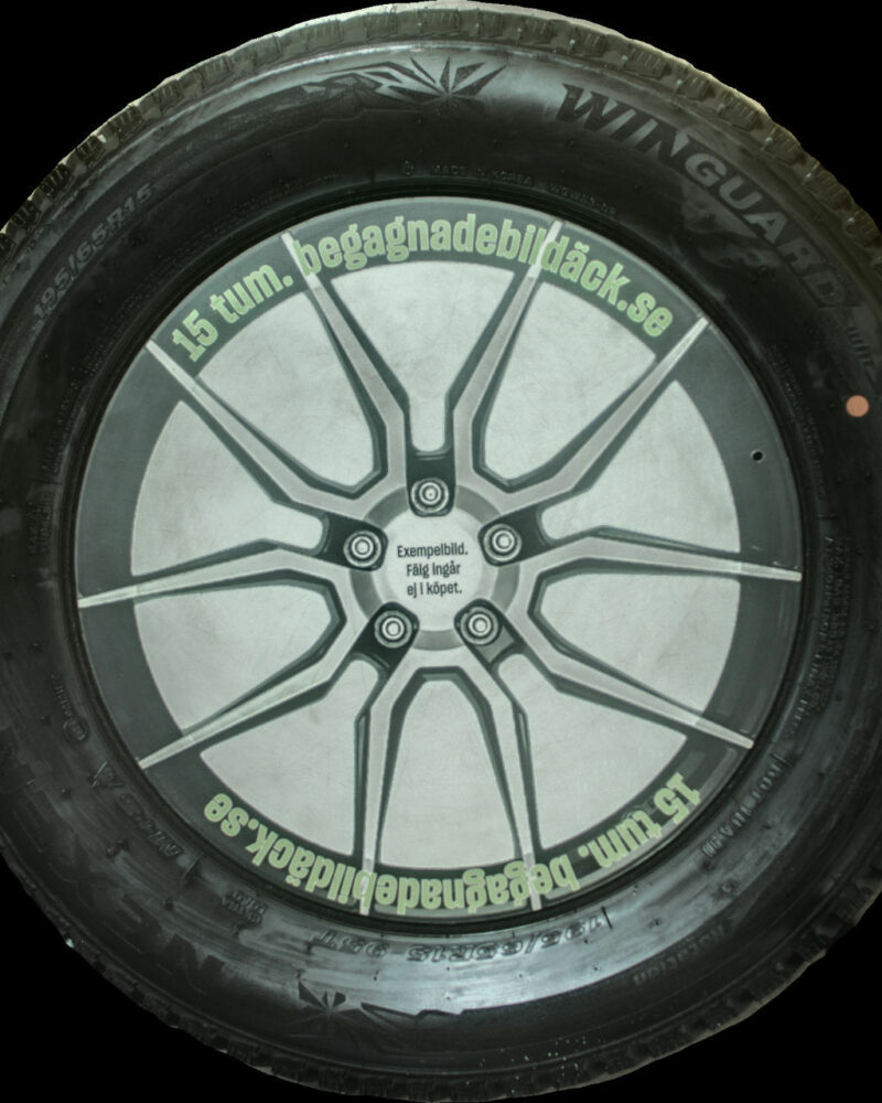 Nexen WGWS3 195/65R15 ( 2 st )