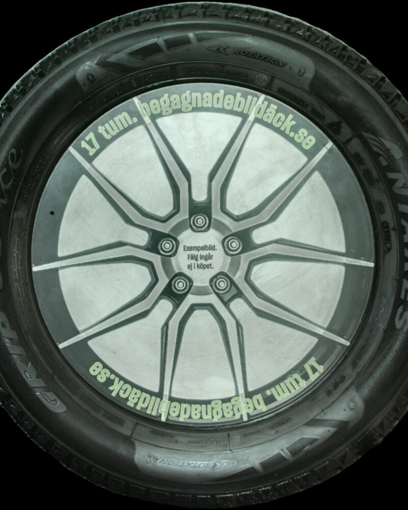 Antares G60Ice 225/60R17 ( 4 st )