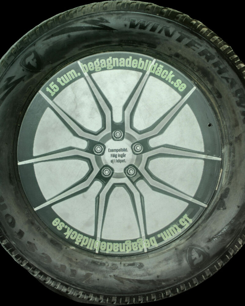 Firestone WH4 195/65R15 ( 4 st )