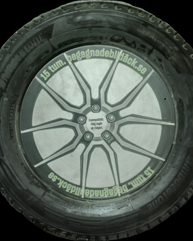 Bridgestone D-AS Evo 195/70R15 ( 4 st )