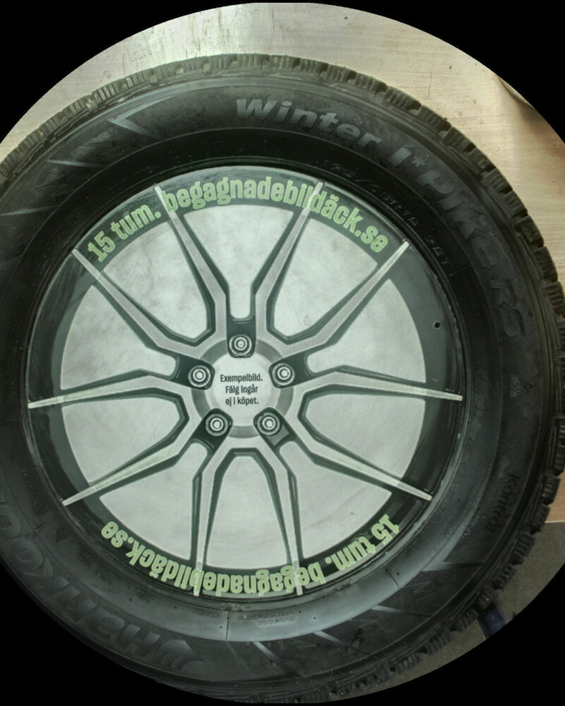 Hankook W419 195/65R15 ( 2 st )