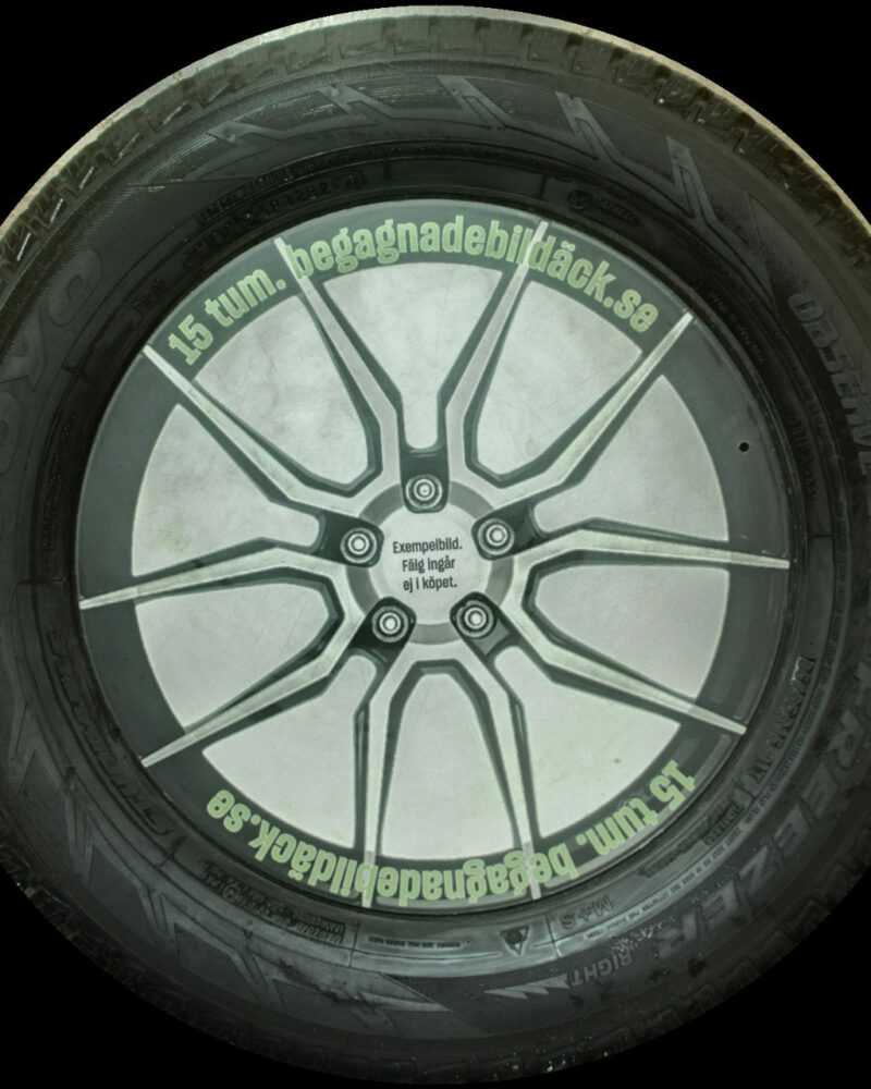 Toyo Obs Ice-Freezer 195/65R15 ( 1 st )