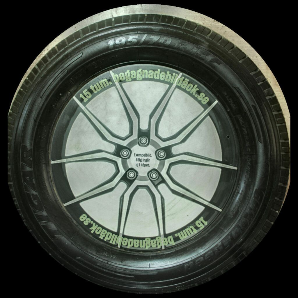 Tigar CargoSpeed 195/70R15 ( 2 st )