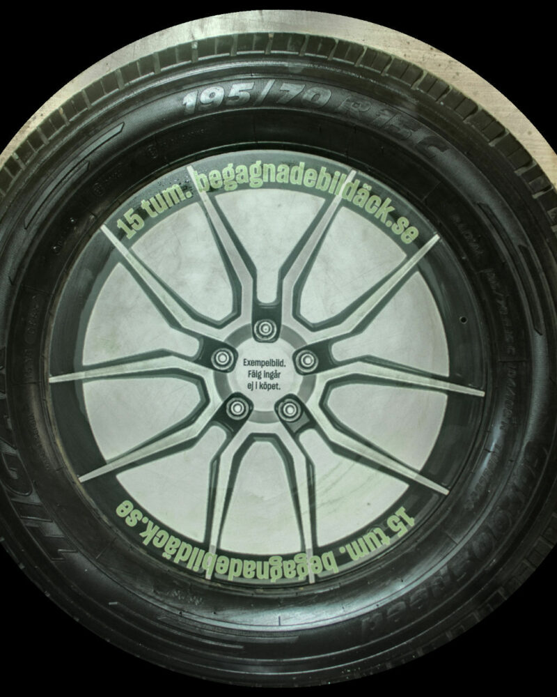Tigar CargoSpeed 195/70R15 ( 2 st )