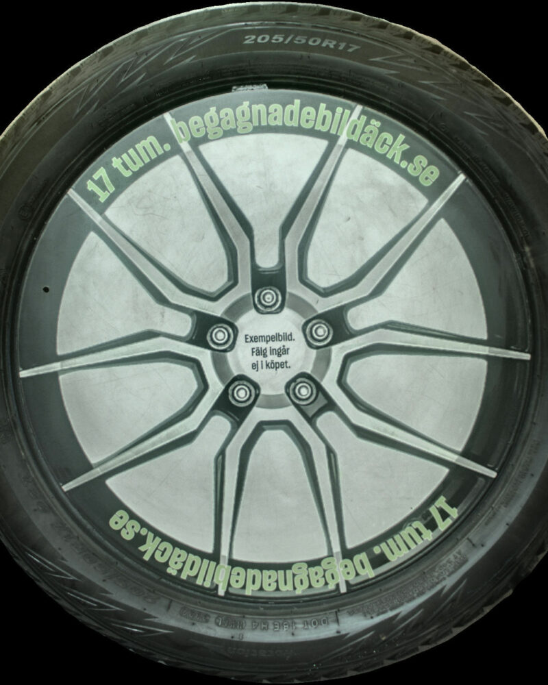 Nexen Winguard WinSpike WH62 205/50R17 ( 2 st )