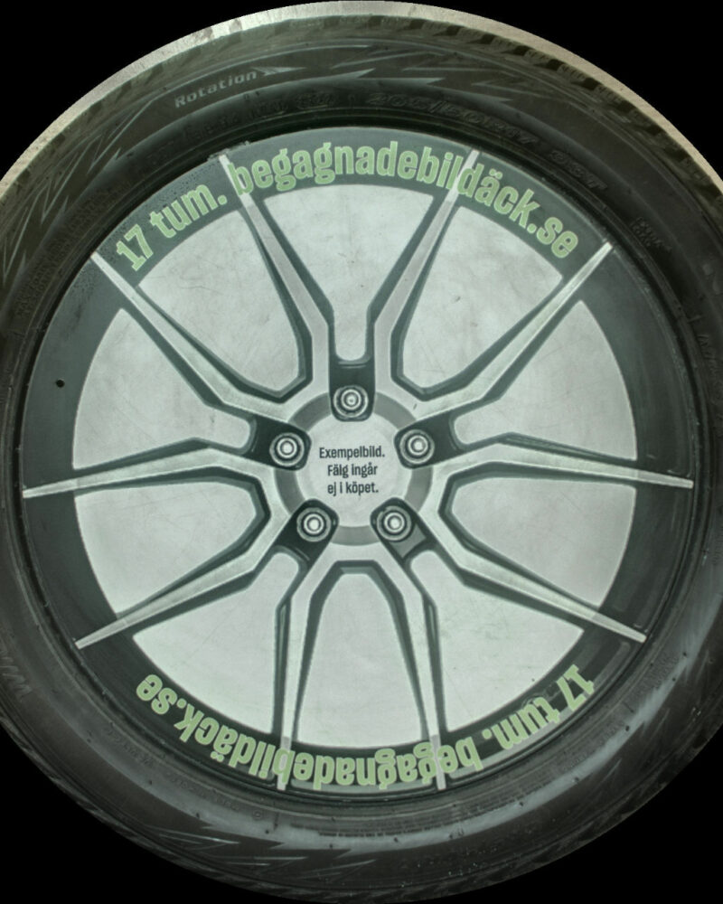 Nexen Winguard WinSpike WH62 205/50R17 ( 1 st )