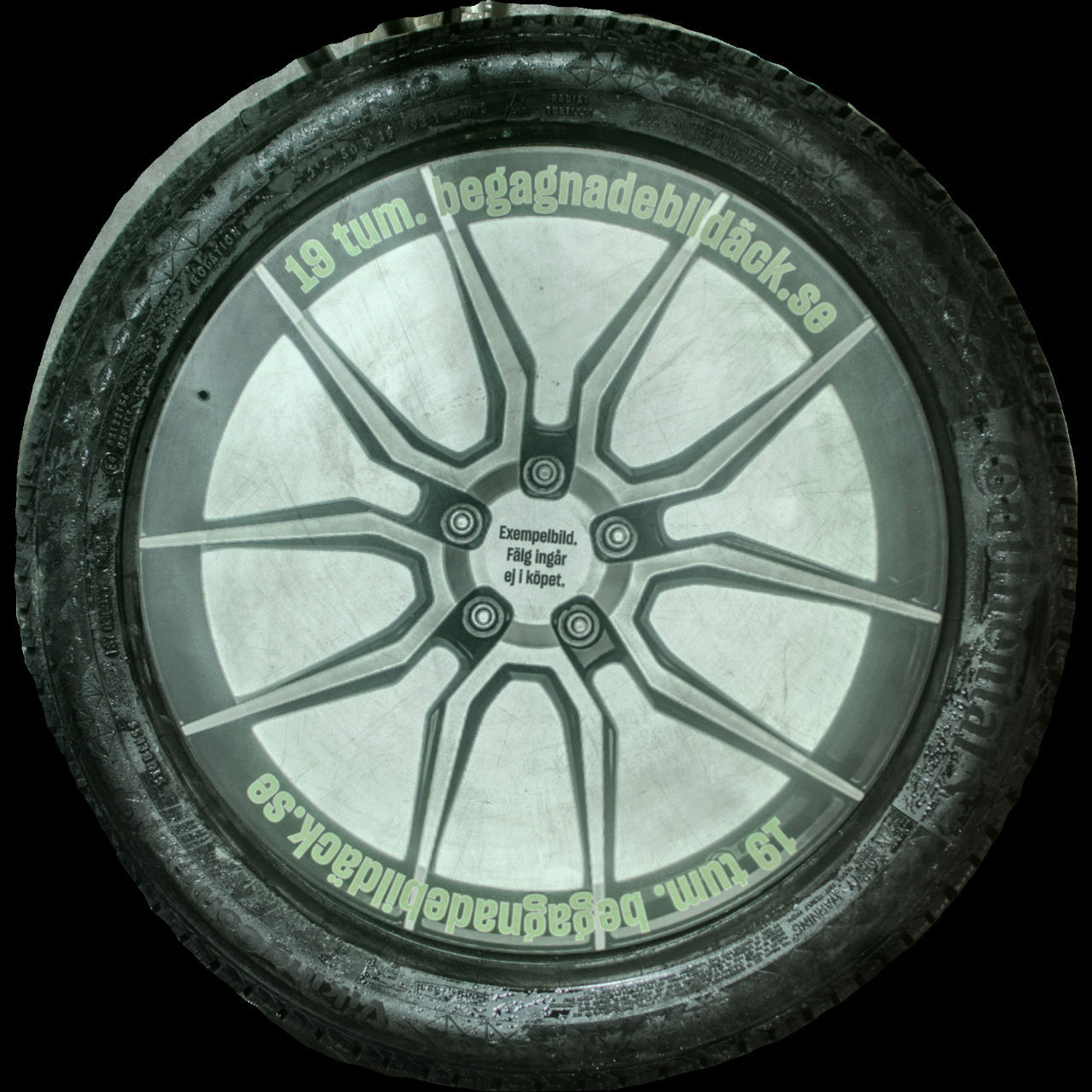 NYBEG Continental Vikingcontact7 215/50R19 ( 4 st )