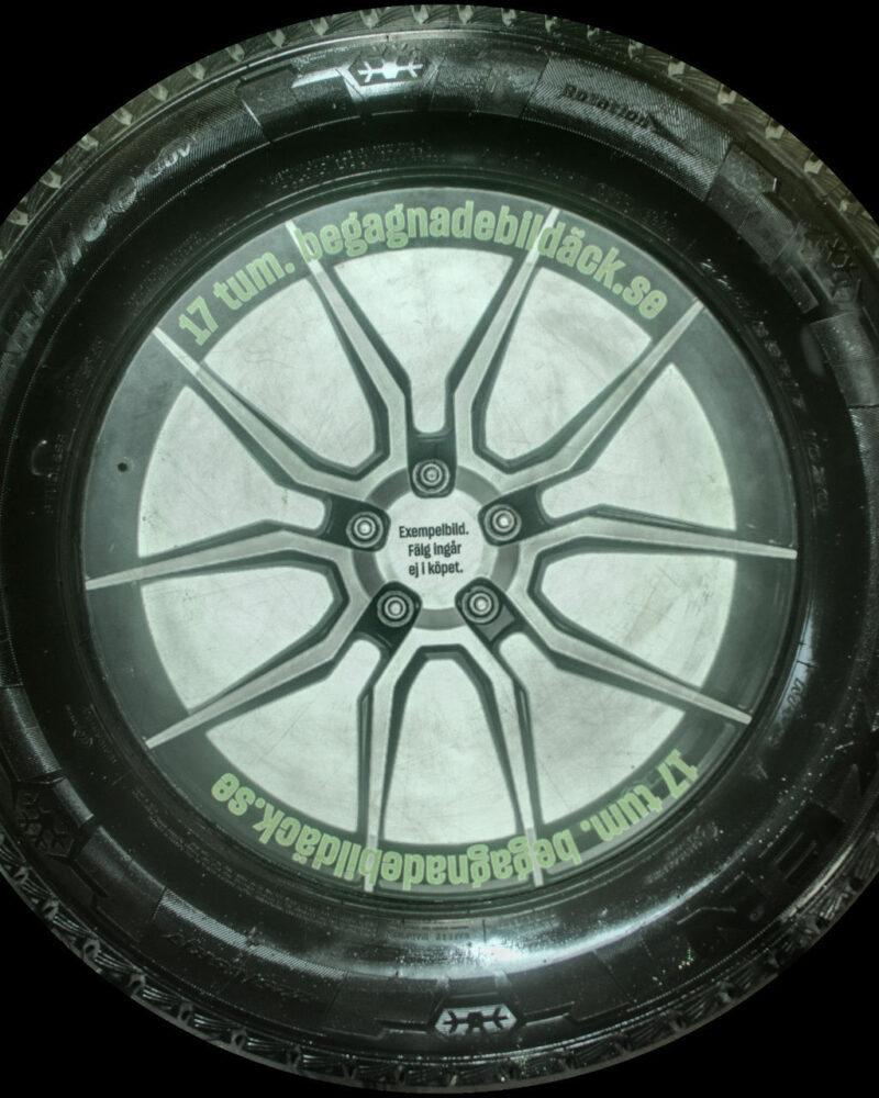 Nexen WS5 225/65R17 ( 2 st )