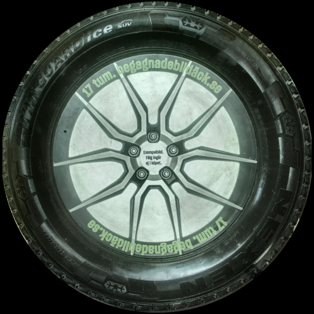 Nexen WS5 225/65R17 ( 2 st )