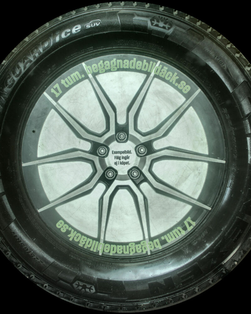 Nexen WS5 225/65R17 ( 2 st )