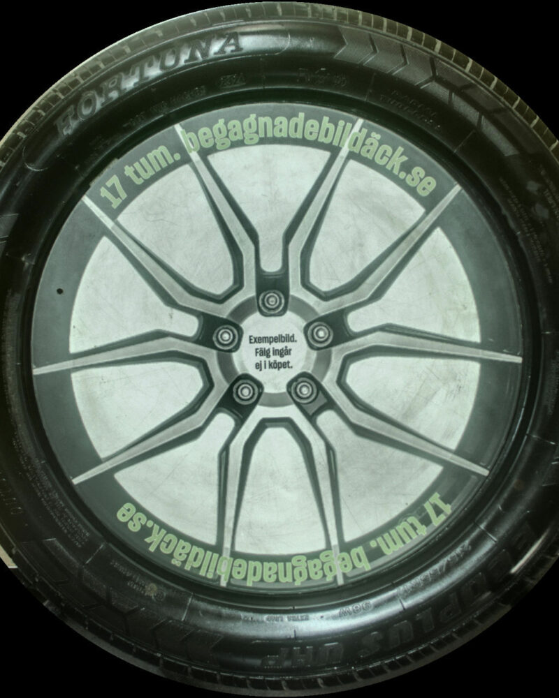 Fortuna EcoPlus 215/55R17 ( 1 st )
