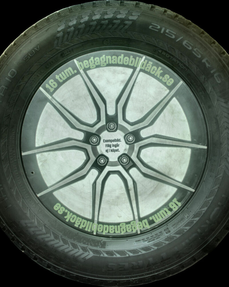 Nokian Hkpl10 215/65R16 ( 2 st )