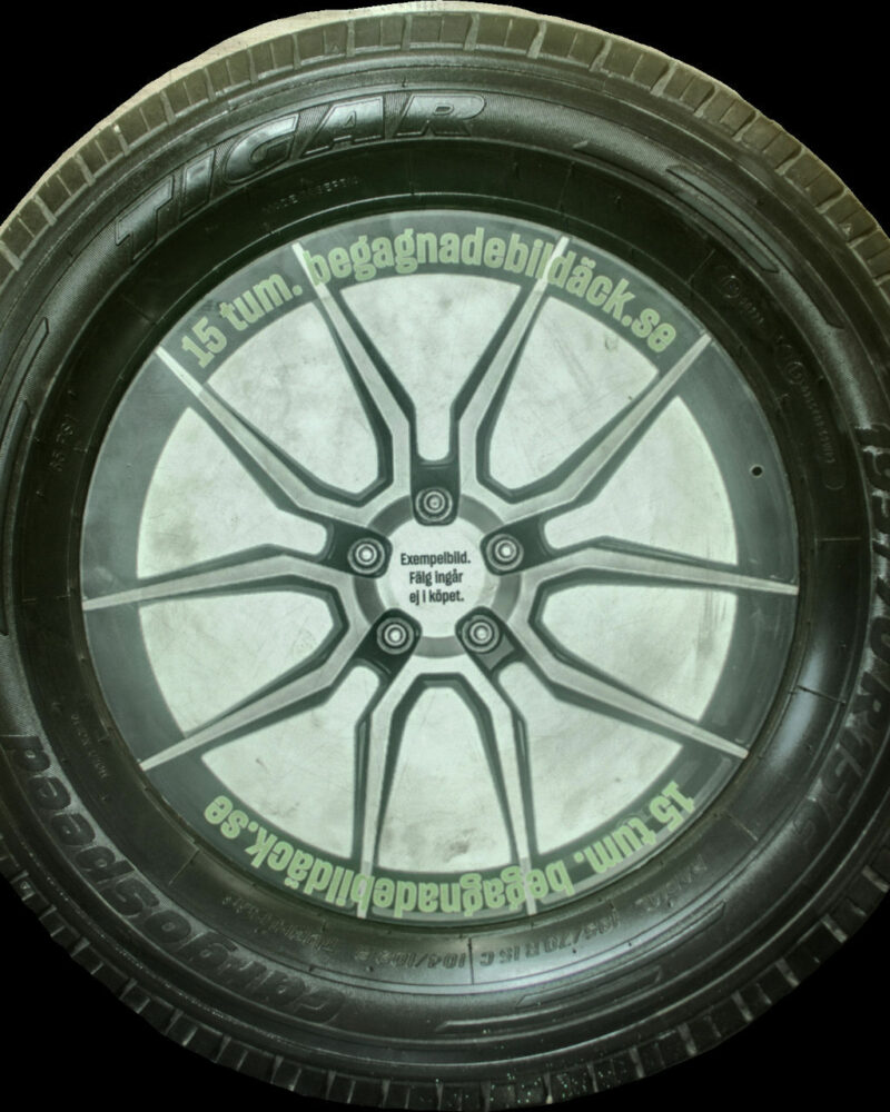Tigar CargoSpeed 195/70R15 ( 2 st )