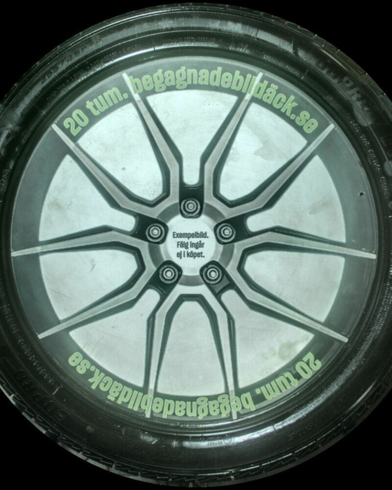 Gopro EV-Ice 255/45R20 ( 2 st )