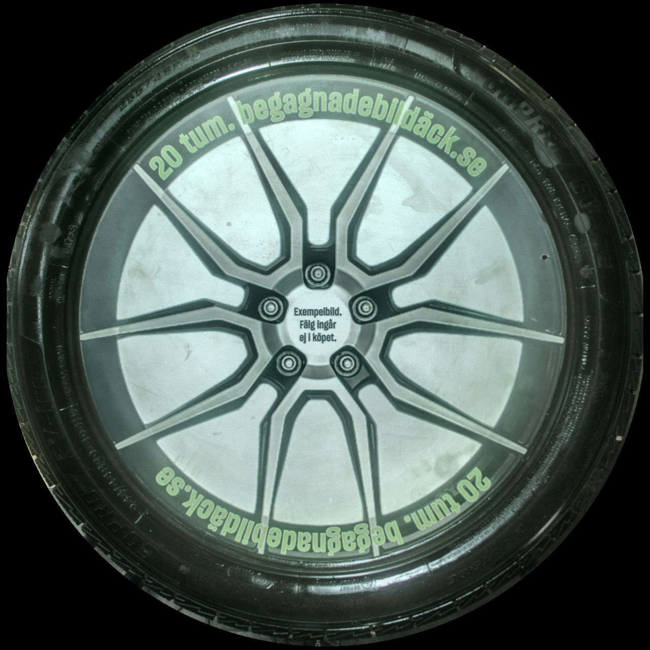 Gopro EV-Ice 255/45R20 ( 2 st )